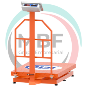 BÁSCULA DIGITAL DE PLATAFORMA TEK EN ALFAJOR 801 800KG 60X80CM